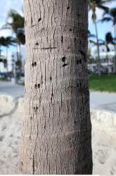 Photo of Mixed Miami Textures